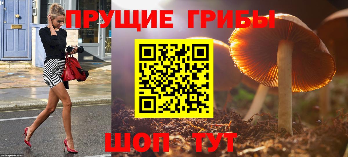где купить наркотик  Вход с VPN  Ханты-Мансийск  Псилоцибиновые грибы MAGIC MUSHROOMS 
