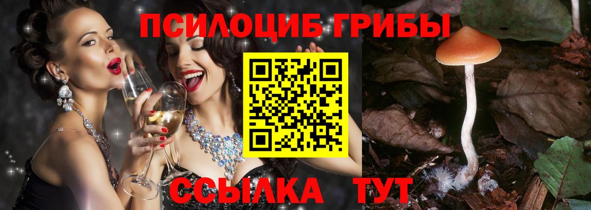 Псилоцибиновые грибы Cubensis Ханты-Мансийск
